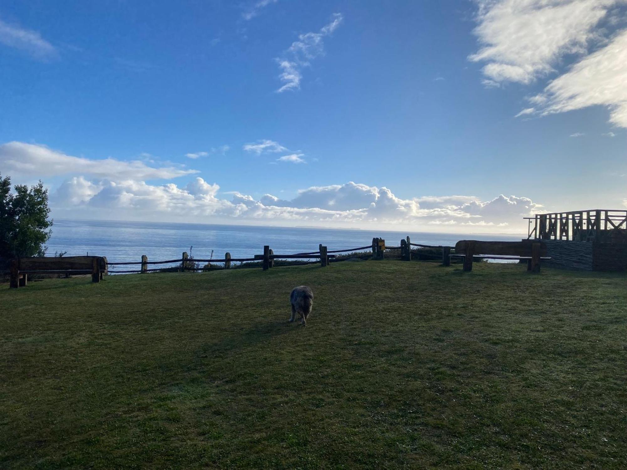 Hotel Faros Del Sur Ancud Dış mekan fotoğraf